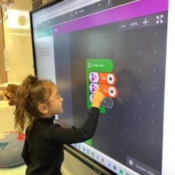 421843201_916425350277741_2054863084602665206_n.jpg